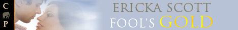 Fools Gold Banner