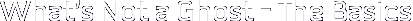 What’s Not a Ghost – The Basics