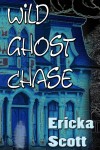 Wild Ghost Chase Cover