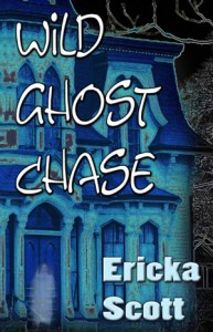 Wild Ghost Chase300x464 Wild Ghost Chase Cover